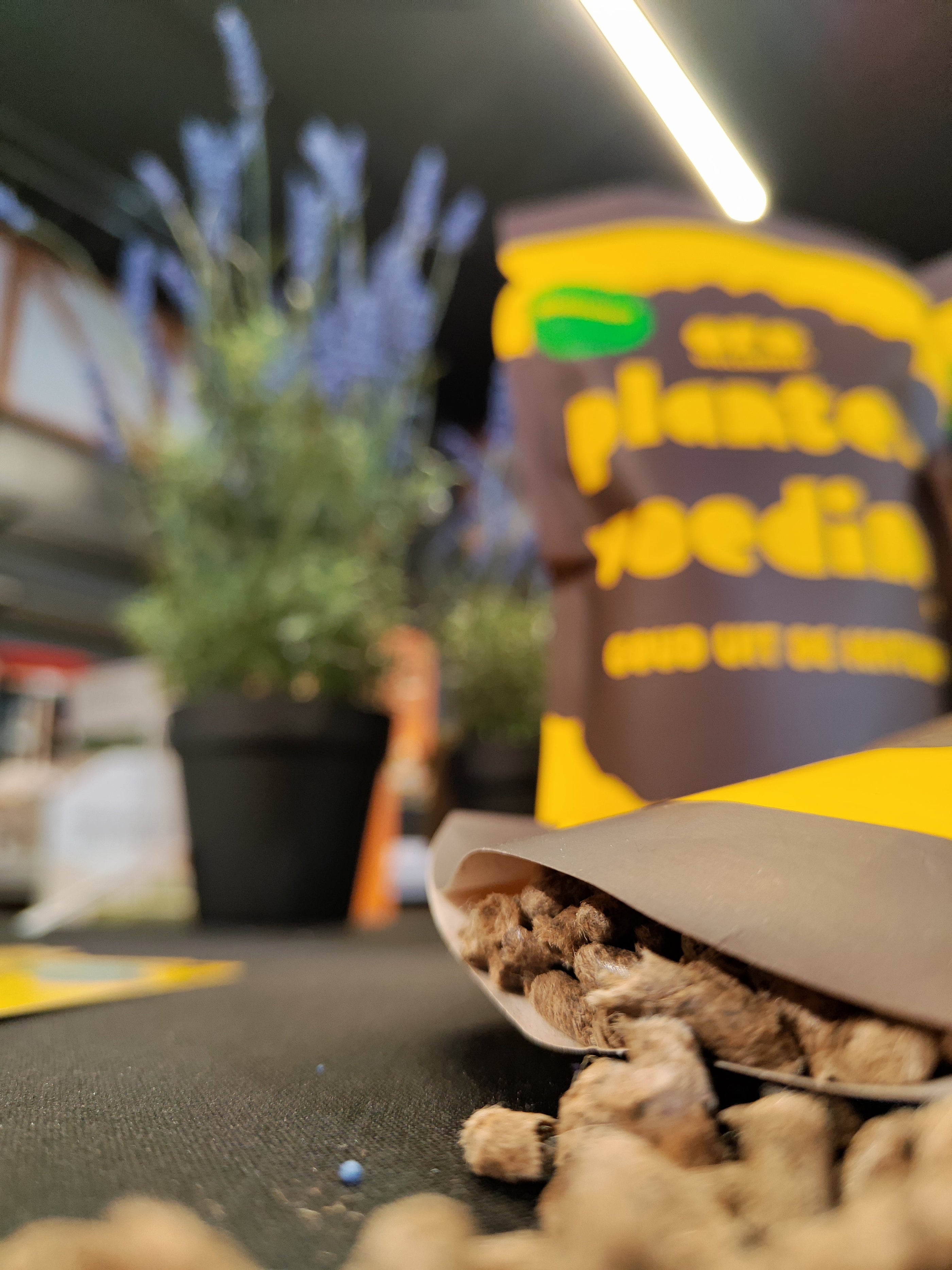 oro wolkorrel schapenwolmeststof