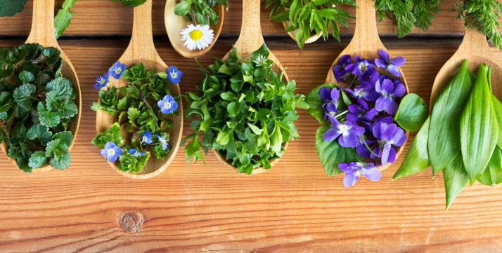 orowolkorrel wolkorrel 