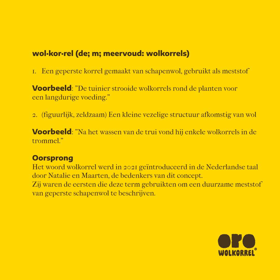 🌱WOLKORREL: Van Hackathon naar Duurzame Groei 🚀