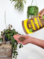 Hand vol wolkorrels van schapenwol, natuurlijke voeding voor hangende kamerplanten
