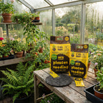 ORO wolkorrel 2 kg en 5 kg met Dekwol mulchschijf in een kas: natuurlijke mest en mulch van schapenwol