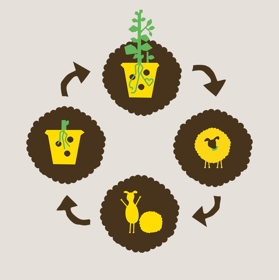 wolkorrel organische meststof wolpellet woolpellet biologisch plantenvoeding wolterra dalfsen oro