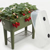 Dekwol kweektafel 30cmx75cm
